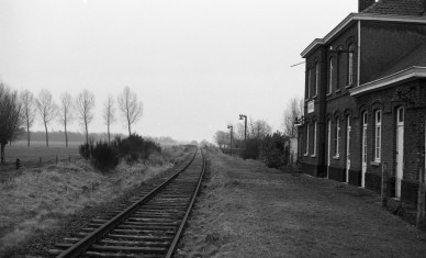 Winjendale - DIEU F0304 (1).jpg